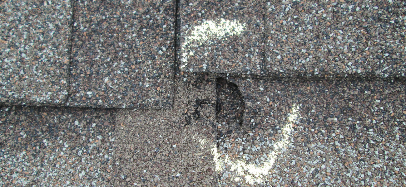 hail damaged asphalt shingle